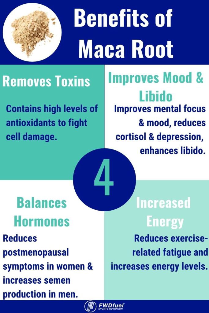 Health Benefits of Maca Root Infographic to help better understand the best time to time maca root