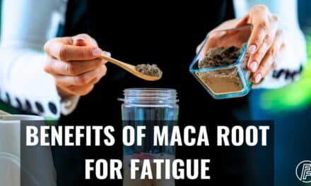 5 Amazing Benefits of Maca Root For Adrenal Fatigue