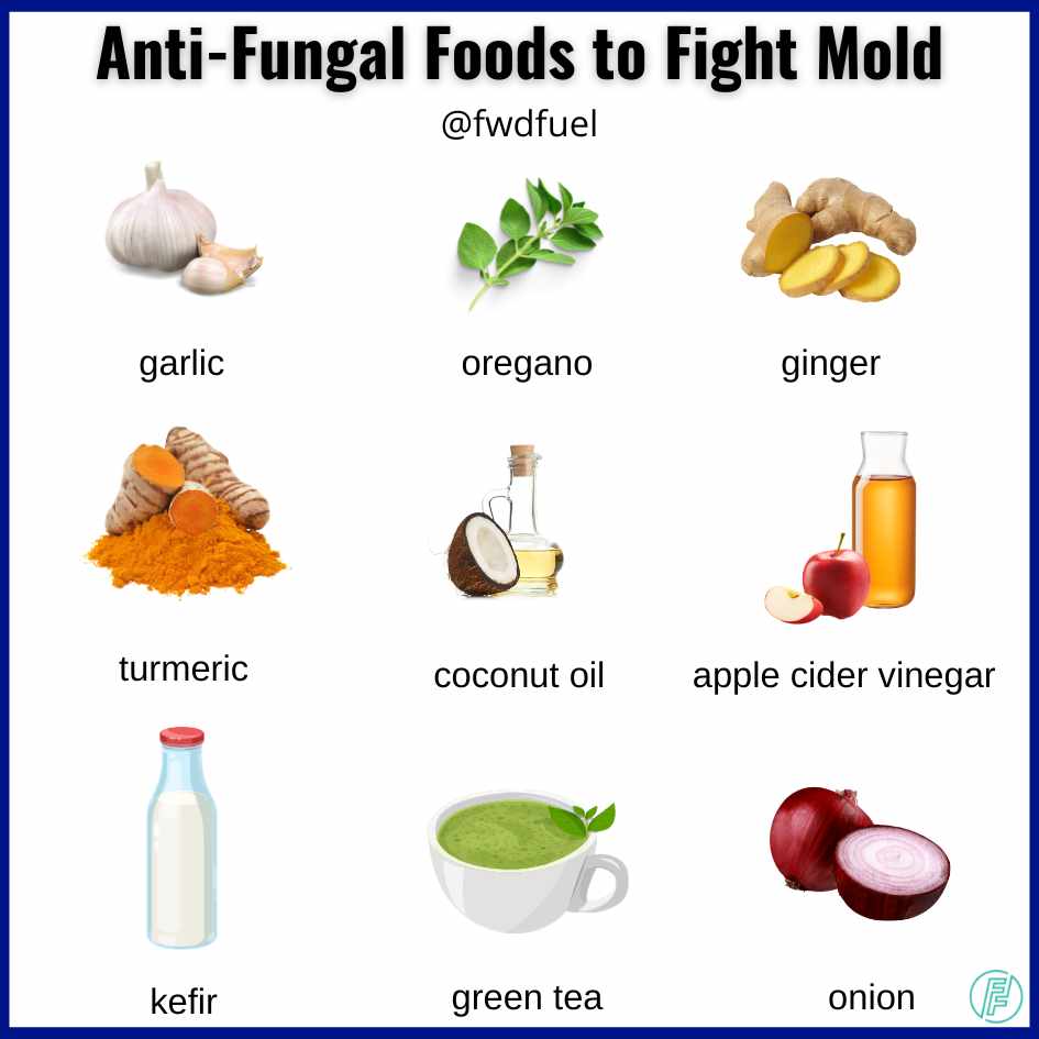 Infographic showing anti-fungal foods and foods that kill mold in the body