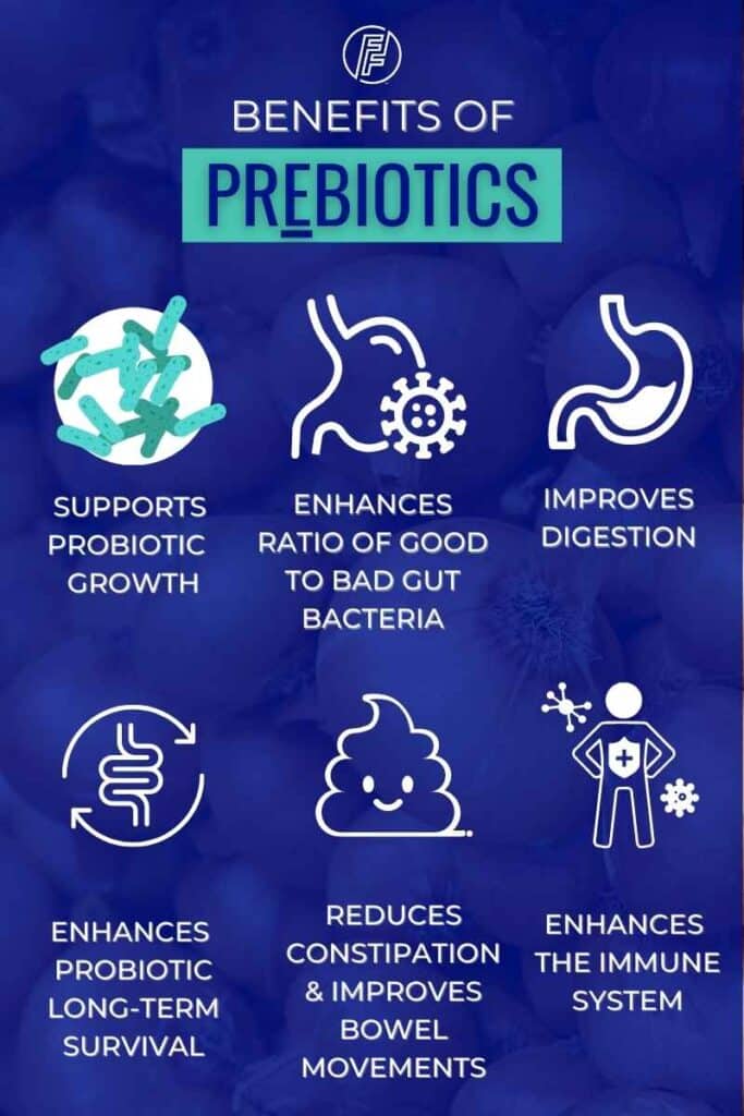 Infographic showing the benefits of prebiotics and why you should use a prebiotic food list PDF to guide your food choices.