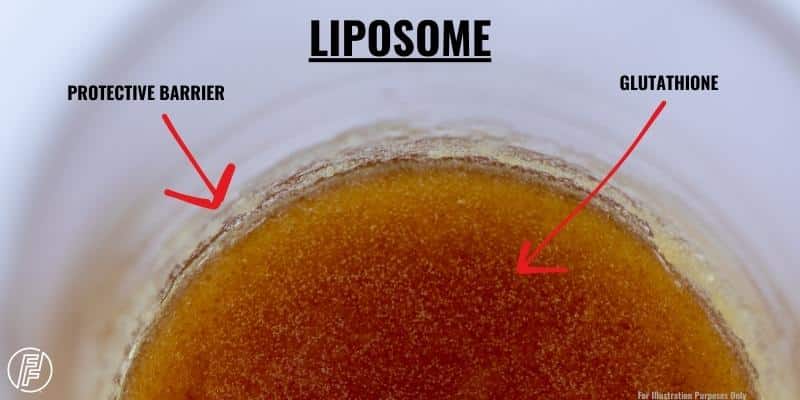 Visual diagram showing why liposomal glutathione is the berst form of glutathione to take and why liposomal glutathione may effective when taken orally due to the protective barrior around the supplement. 