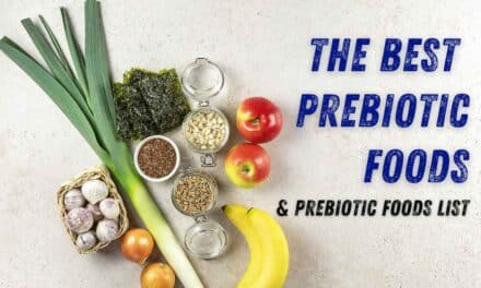 25 Best Prebiotic Foods | Ultimate Prebiotic Foods List PDF