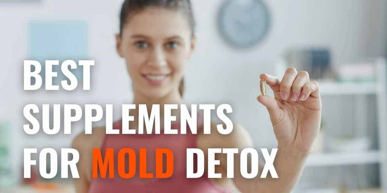 13 Best Supplements for Mold Detox – Boost Natural Healing