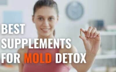 13 Best Supplements for Mold Detox – Boost Natural Healing