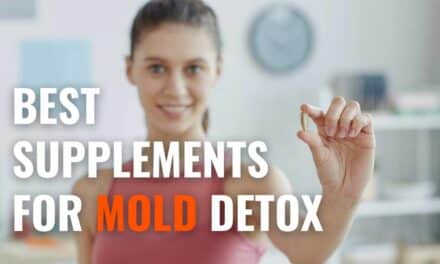 13 Best Supplements for Mold Detox – Boost Natural Healing