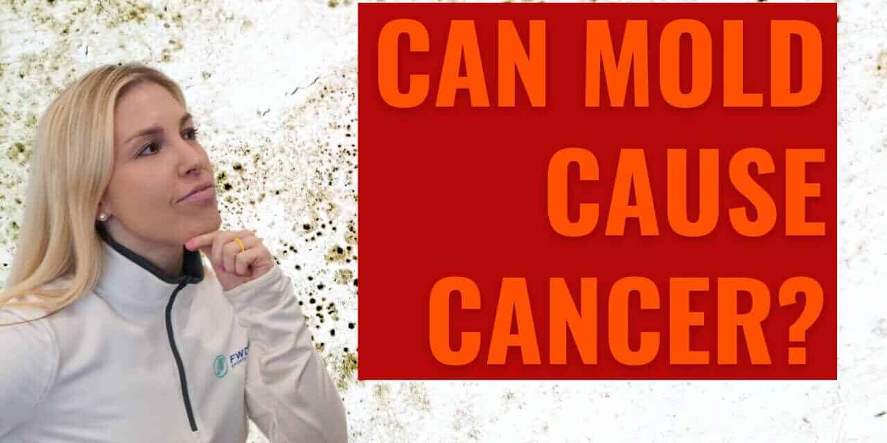 Can Mold Cause Cancer? 5 Shocking Science-Based Facts