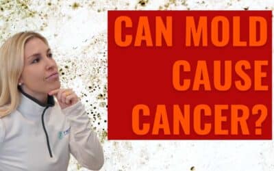 Can Mold Cause Cancer? 5 Shocking Science-Based Facts