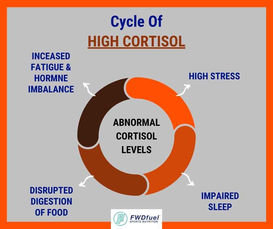 Infographic examining the cycle of high cortisol to explain why cortisol supplements may help. 