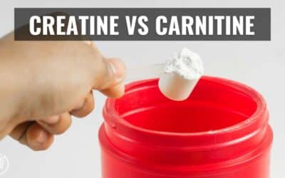 Creatine Vs Carnitine Difference in Effects – 5 Facts