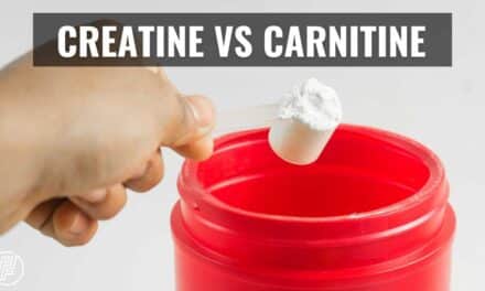 Creatine Vs Carnitine Difference in Effects – 5 Facts