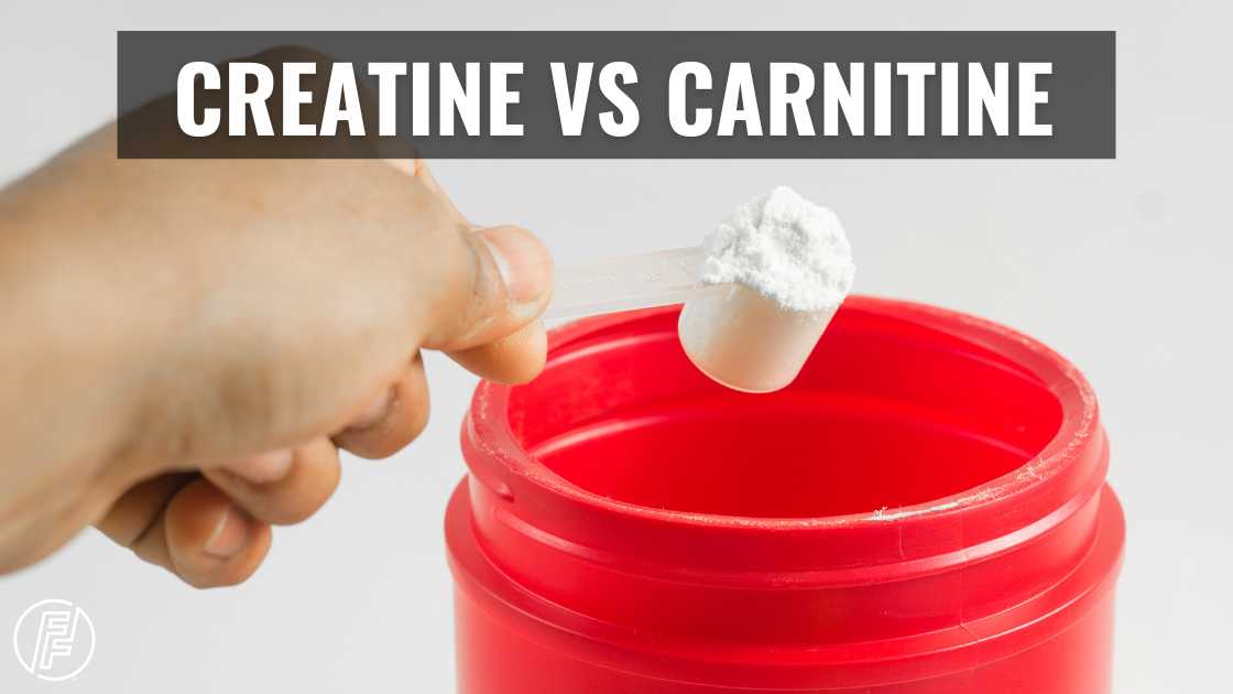 Creatine Vs Carnitine Difference in Effects – 5 Facts