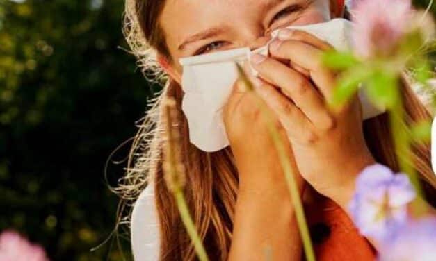 The Best Vitamin B Complex for Allergies Story