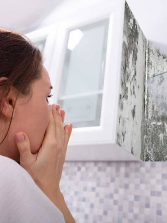 Can Mold Cause Cancer Story