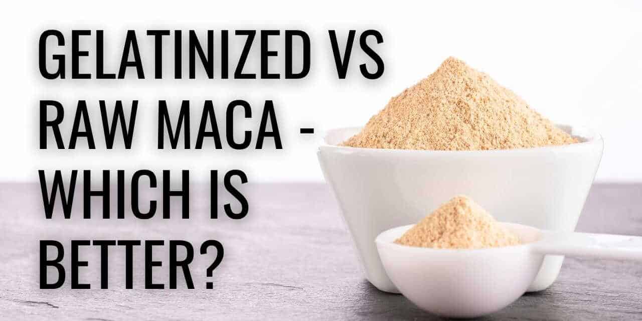 Gelatinized vs Raw Maca – Which is Better?