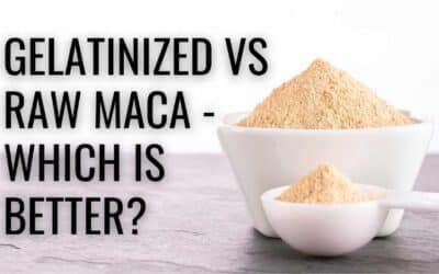 Gelatinized vs Raw Maca – Which is Better?