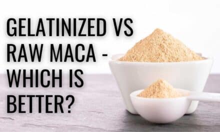 Gelatinized vs Raw Maca – Which is Better?