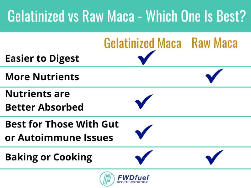 Infographic comparing gelatinized vs raw maca and noting who its best for.  