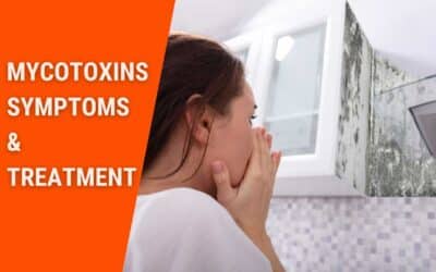 Toxic Mold: How Long Do Mycotoxins Stay In The Body