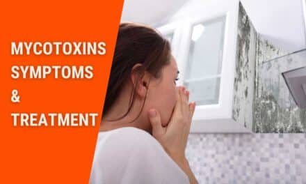 Toxic Mold: How Long Do Mycotoxins Stay In The Body