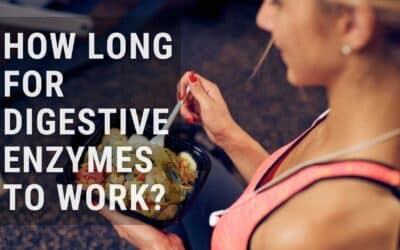 How Long Does it Take for Digestive Enzymes to Work?