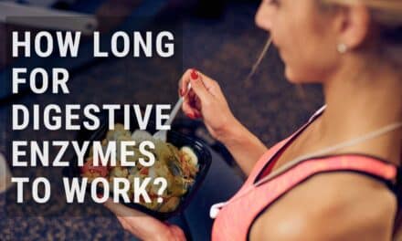 How Long Does it Take for Digestive Enzymes to Work?