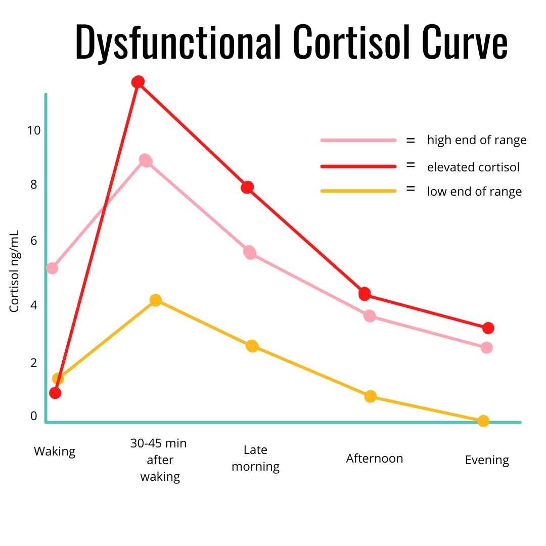 A Dysfunctional Cortisol Curve infographic to help one better understand natural ways to lower cortisol