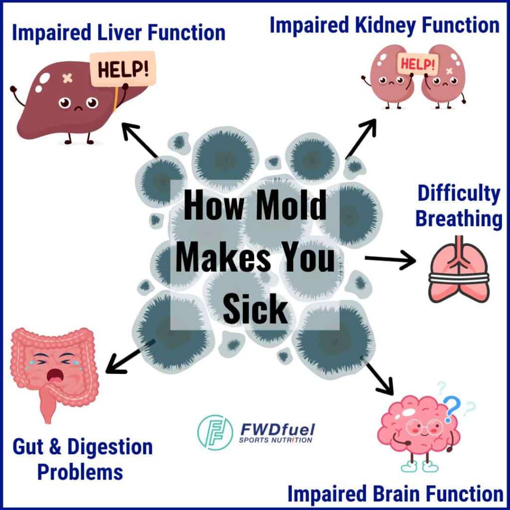 Infograpic explaining how toxic mold can make you sick to explain why you should consider mold detox supplements. 