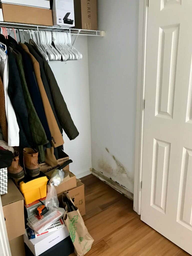 Mold cross contamination in a closet. 