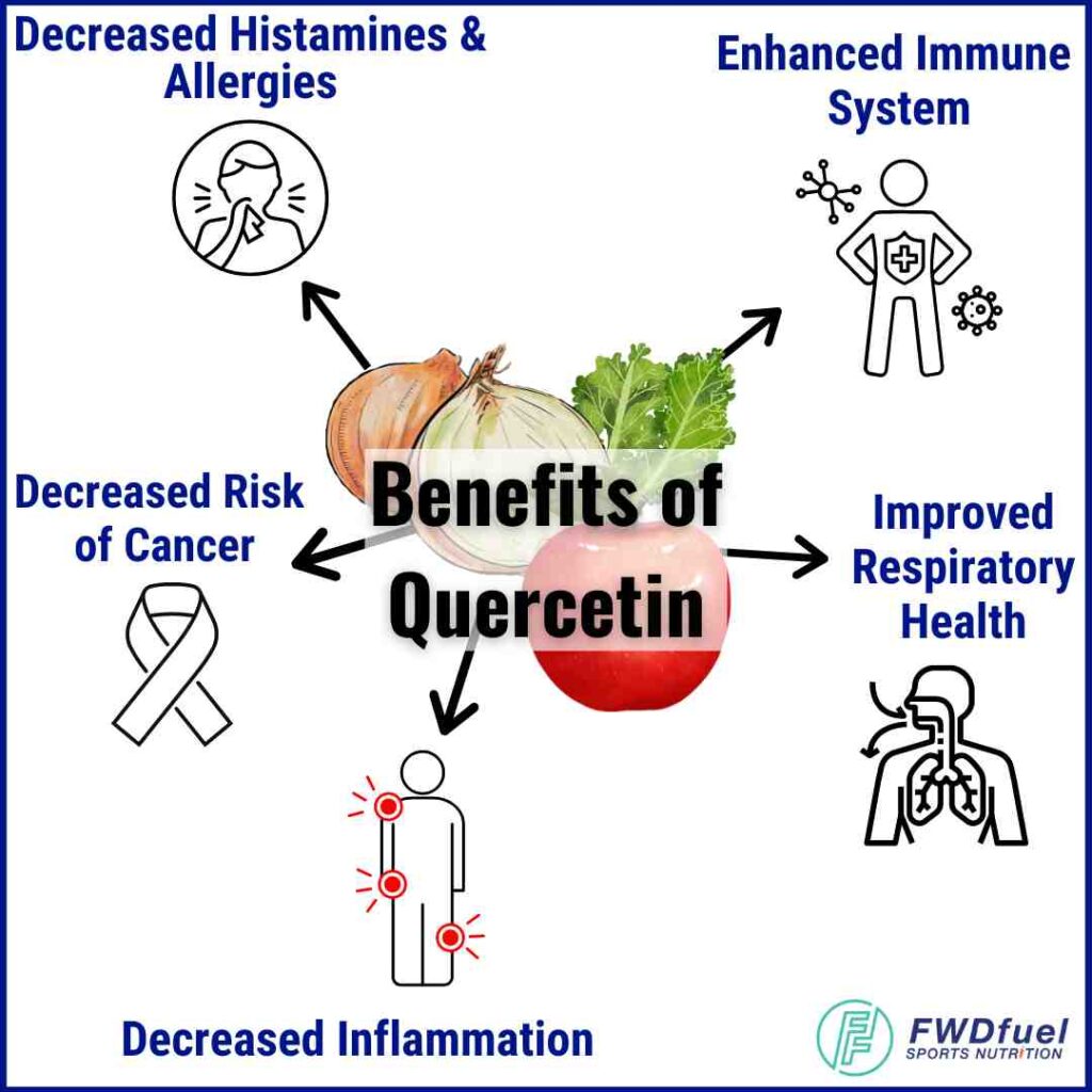 Infographic explaining the benefits of quercetin so readers better understand why they should take the best quercetin supplement