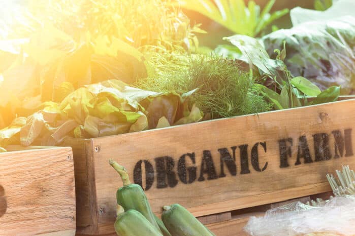 basket of organic food crops