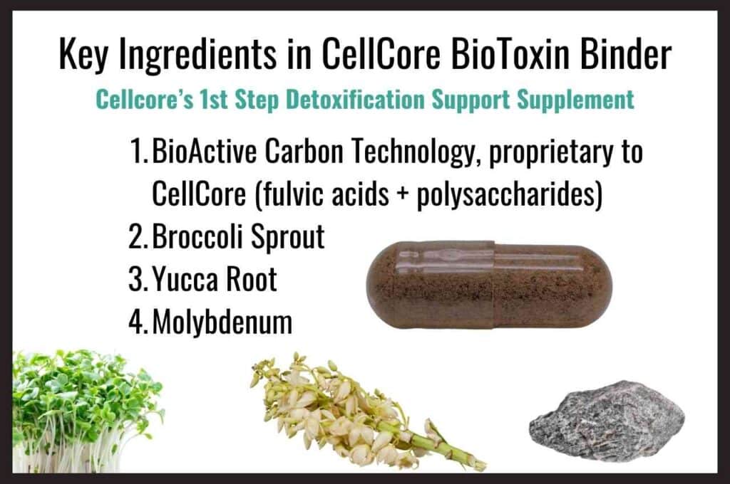 Infographic of key ingredients in the CellCore Biotoxin Binder