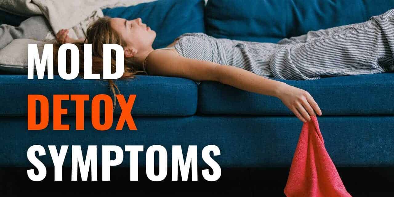 Mold Detox Symptoms: Have You Been Exposed?