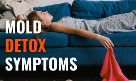 Mold Detox Symptoms: Have You Been Exposed?