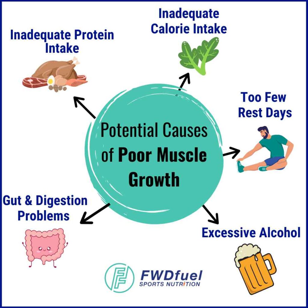 Infographic explaining potential causes of poor muscle growth and muscle repair including from inadequate protein intake. 