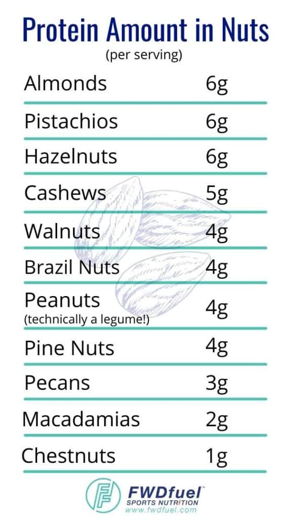 Protein in nuts chart listing grams of protein per serving for each kind of nut so people can see the best nuts for athletes.