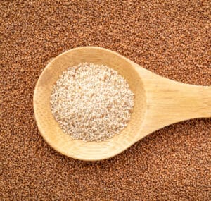 Ivory Teff on a wooden spoon on top of brown Teff, a gluten free grain.