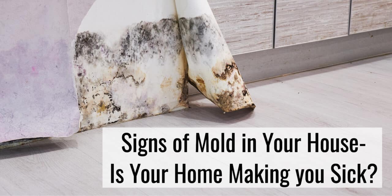 Signs of Mold in Your House- Is Mold in Your Home Making You Sick?