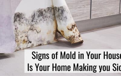 Signs of Mold in Your House- Is Mold in Your Home Making You Sick?