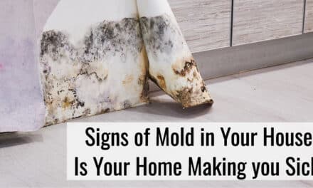 Signs of Mold in Your House- Is Mold in Your Home Making You Sick?