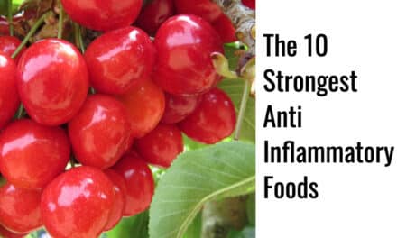 The 10 Strongest Anti Inflammatory Foods on Earth