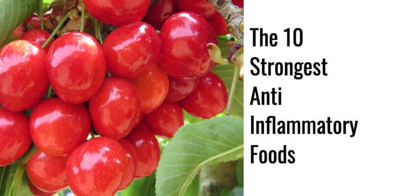 Tart cherries hanging from a branch serving as an example of a anti inflammatory food.