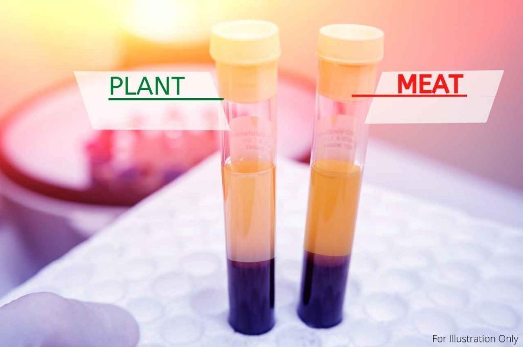 Test tubes of platelet rich plasma showing the difference between plasma taken between subject in The Game Changers Documentary after eating a plant-based meal or a meat-based meal. 