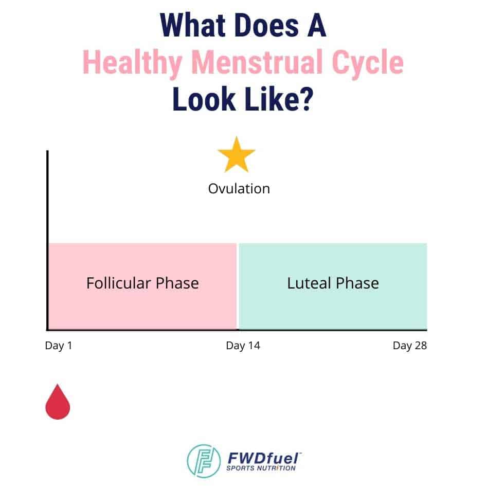 Infographic showing a health menstrual cycle follicular and luteal phase.