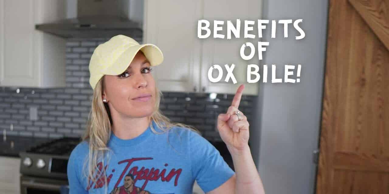 What is Ox Bile & What Does Ox Bile Do?  5 Major Benefits of Ox Bile