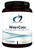 Designs for health WheyCool Protein- a top pick for the best grass fed whey protein concentrate powder