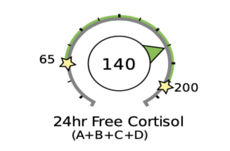 24hr Free Cortisol Screenshot showing what happens while fasting on your period and balancing intermittent fasting and menstruation