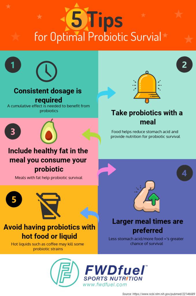 Infographic showing top 5 tips for optimal probiotic surval: consistent dosage, take probiotics with a meal, include healthy fats in the meal, take them at larger meal times, and avoid having probiotics with hot food or liquid