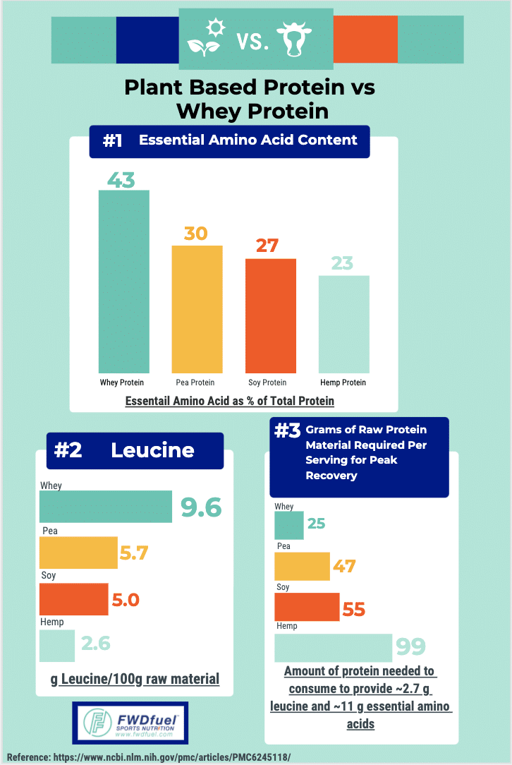 infographic comparing Plant Based Protein vs Whey Protein Powder