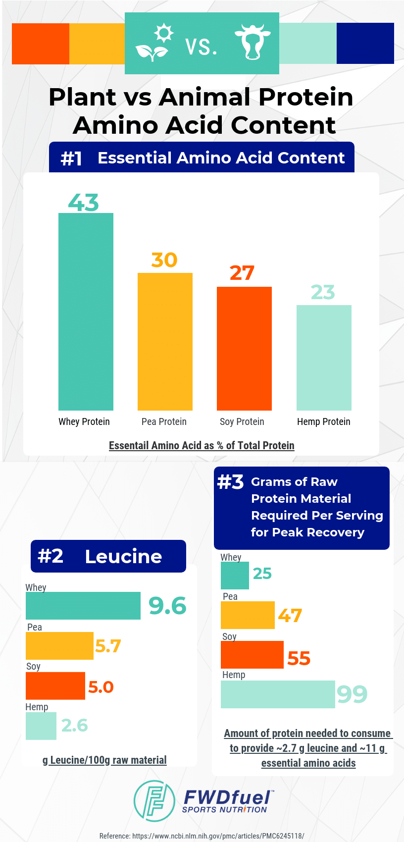 Infographic comparing the amino acid content of plant protein vs animal protein.
