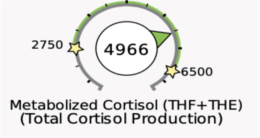 Screenshot of Metabolized Cortisol showing what happens while fasting on your period. 